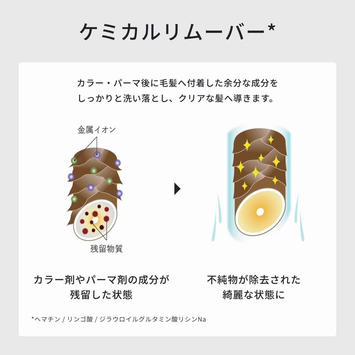 ディープレックス シャンプーn 250ml 4