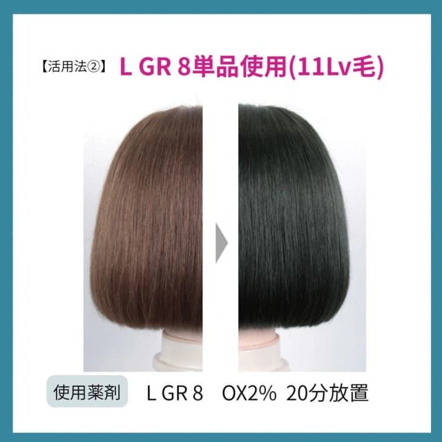 プロステップ ルミシャス L GR 8 80g【医薬部外品】 5