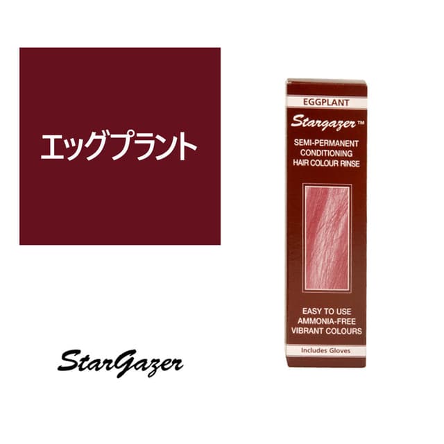スターゲイザー ヘアカラーリンス 70ml＜エッグプラント＞ 1