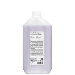 back.bar（バックバー）センシティブシャンプー 5000ml 1