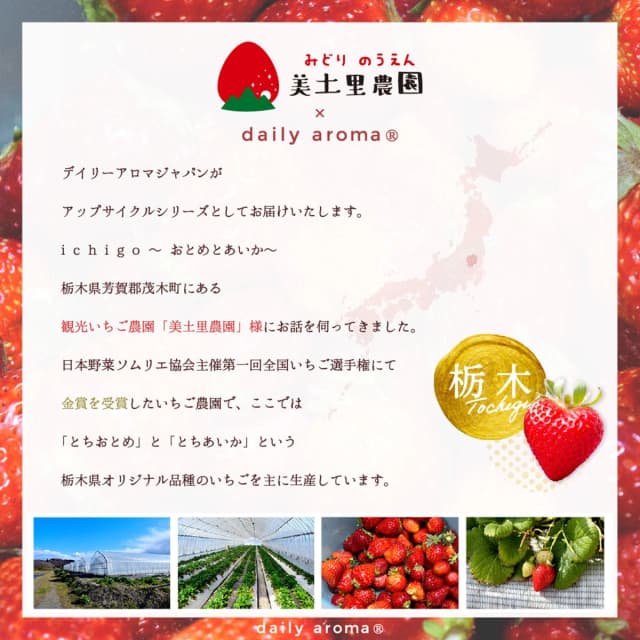 デイリーアロマジャパン ichigo ハンドクリームDA 20ｇ 3