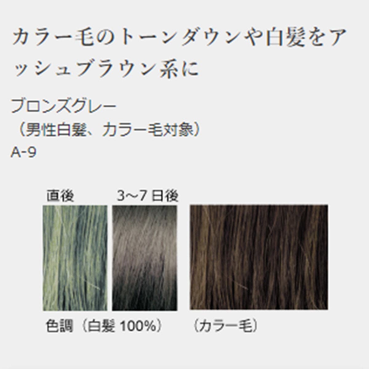 ジャパンヘナ ブロンズグレー100g 2