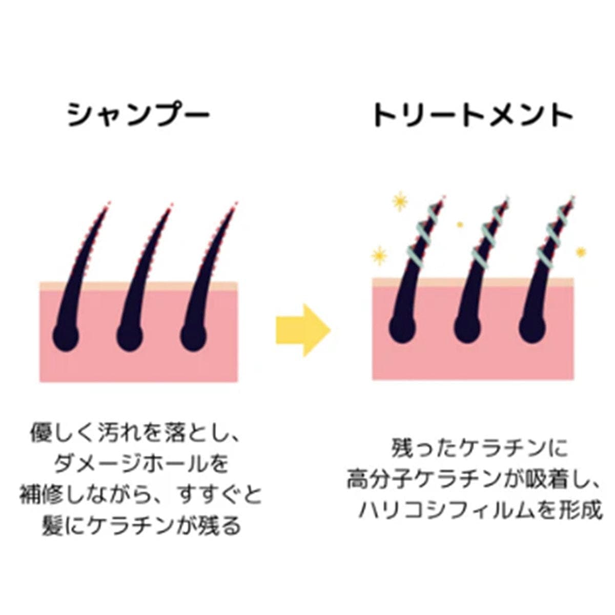 Evi PURE BEAUTY プレミアムバウンステックシャンプー 300ml 2