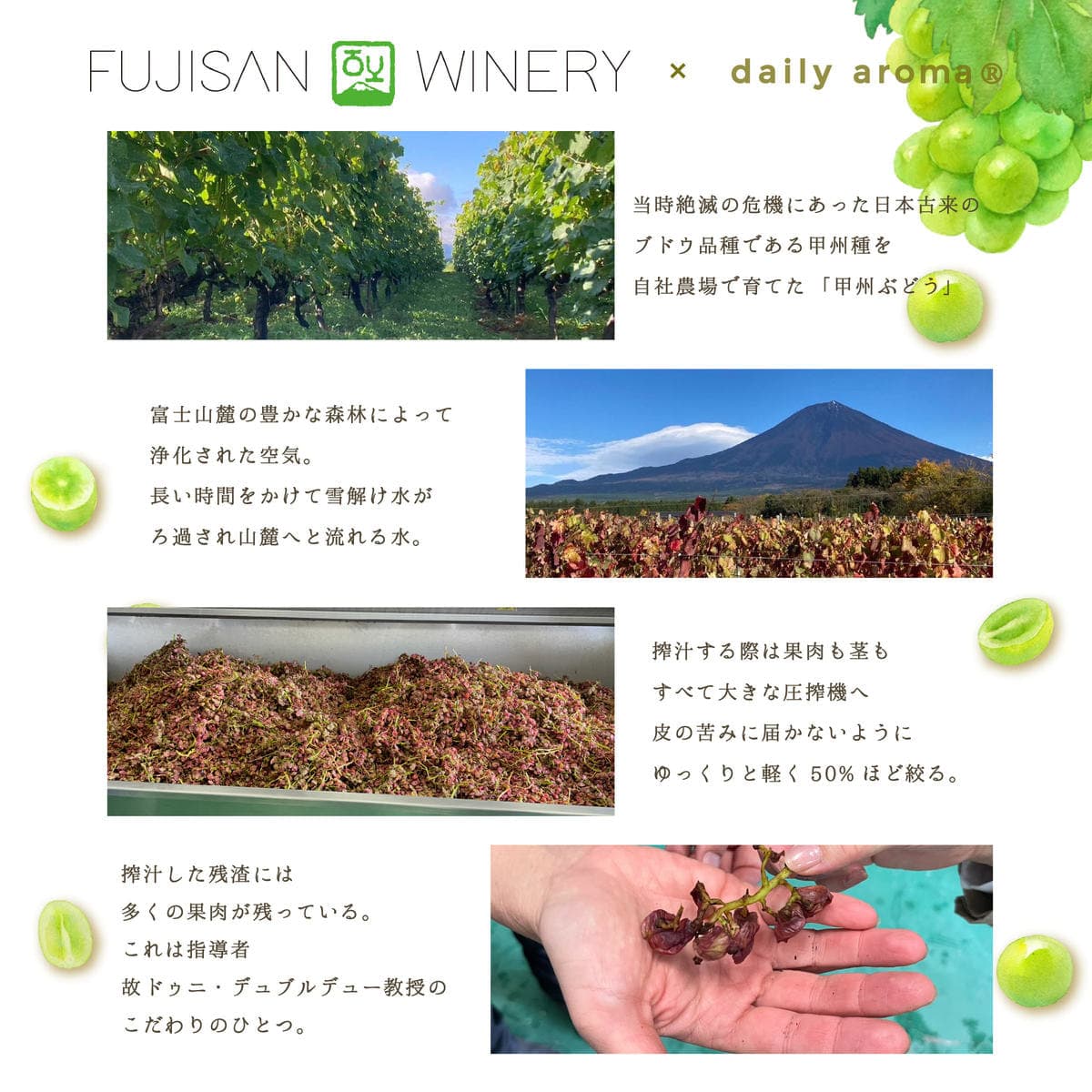 デイリーアロマジャパン 富士山ぶどう ミニハンドクリーム 20g 5