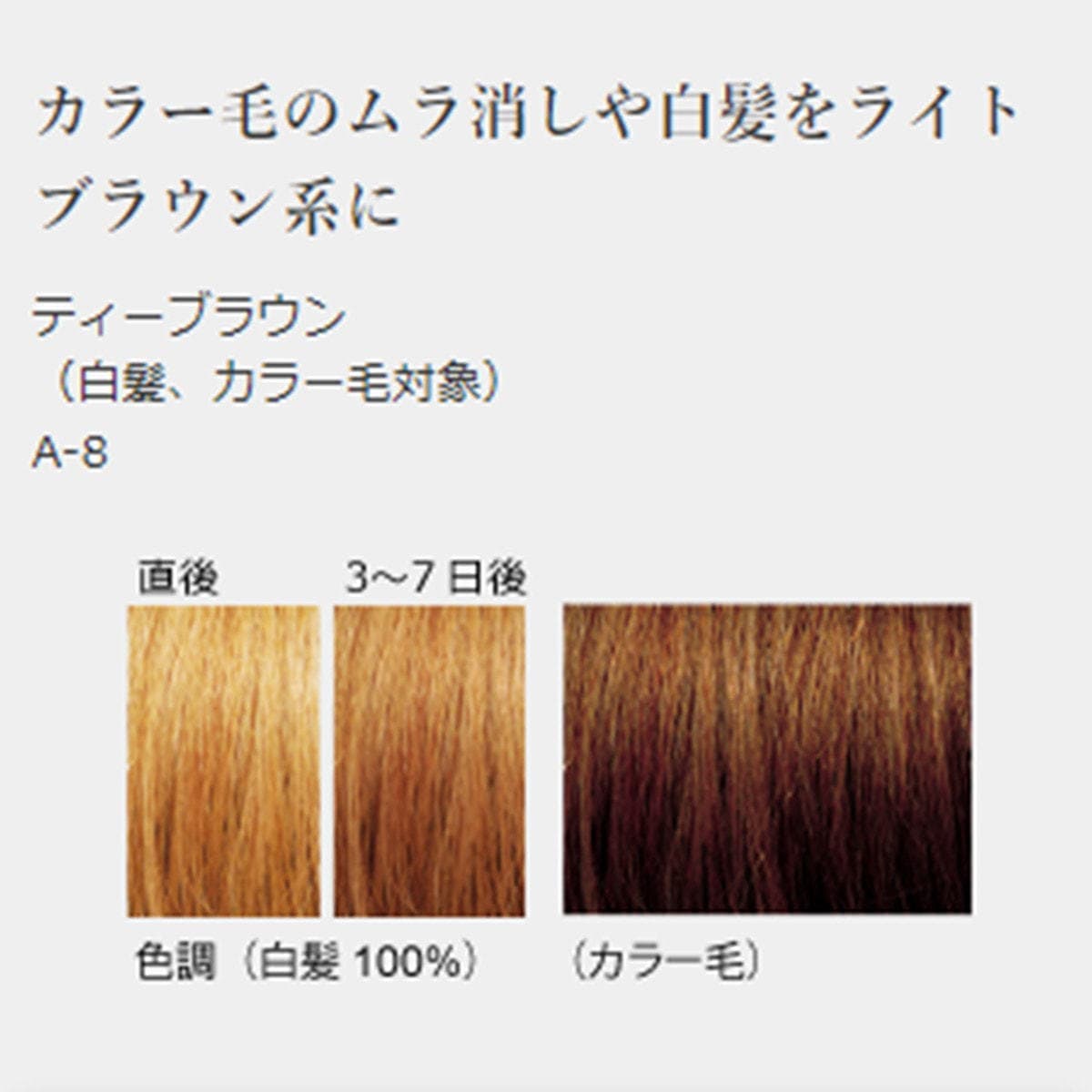 ジャパンヘナ ティーブラウン100g 2
