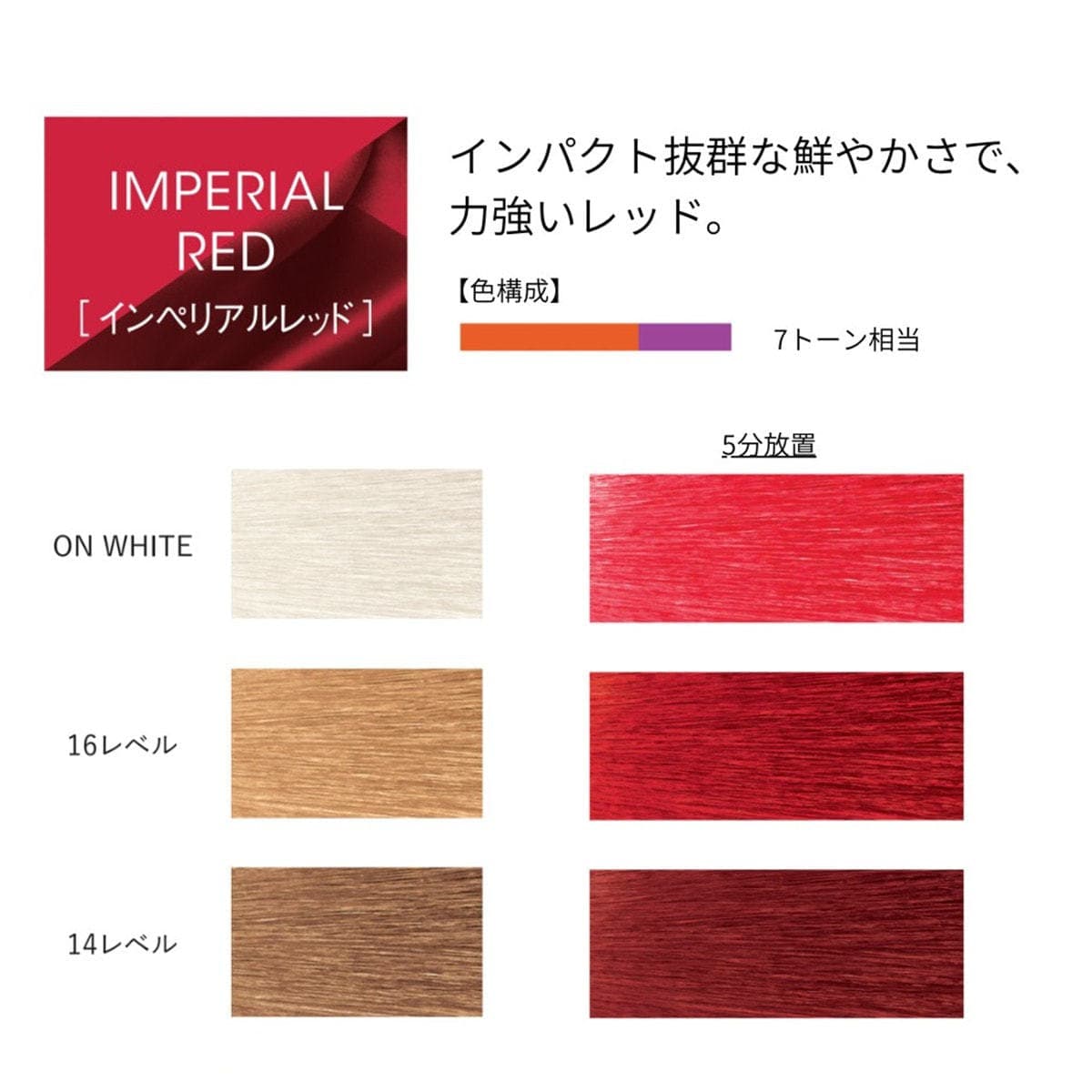 イロジカケ I RE(インペリアルレッド)(ファッションカラー) 80g【医薬部外品】 2