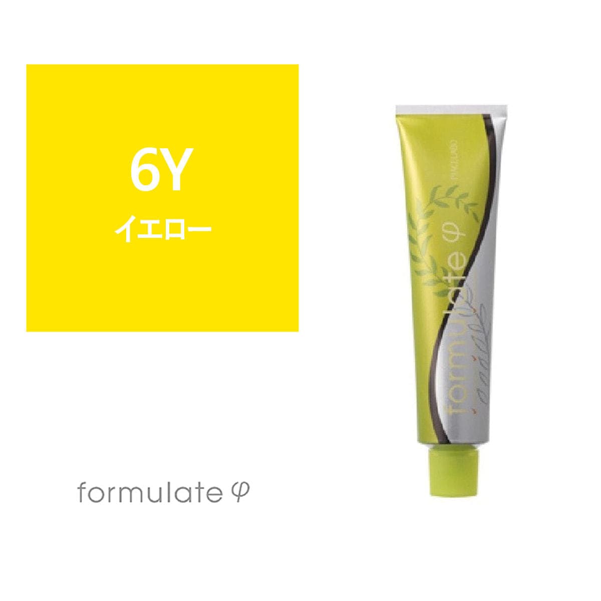 フォーミュレイト ファイ 6Y 120g【医薬部外品】 1