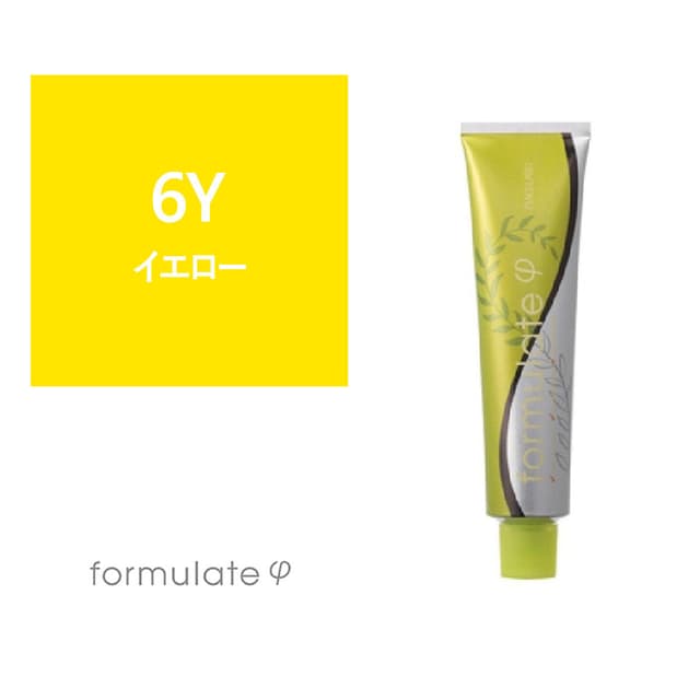 フォーミュレイト ファイ 6Y 120g【医薬部外品】 1