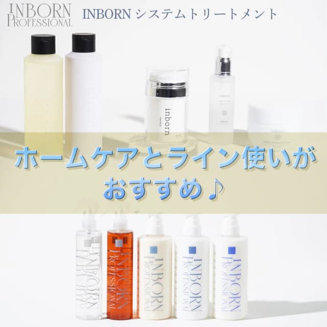 inborn(インボーン)  システム 2 1000ml 6