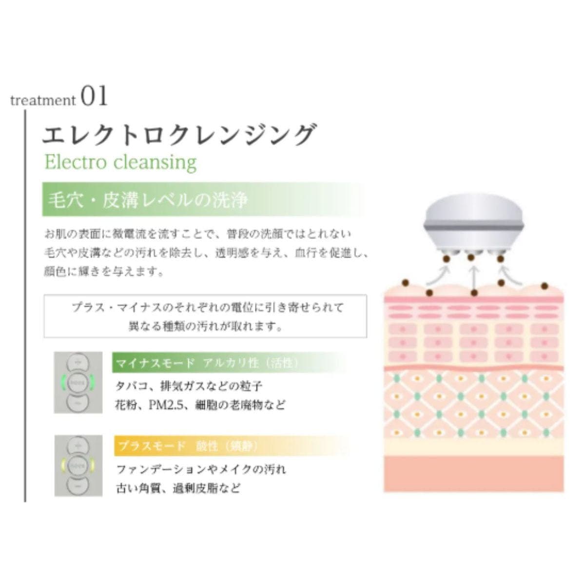 CELL CURE（セルキュア）4T PLUS 7