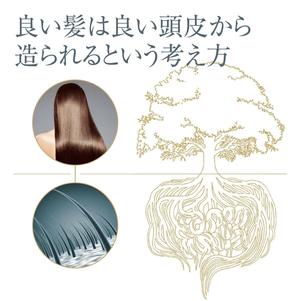 エステプロ・ラボ グロウセル トリートメント（詰め替え）900ml 3