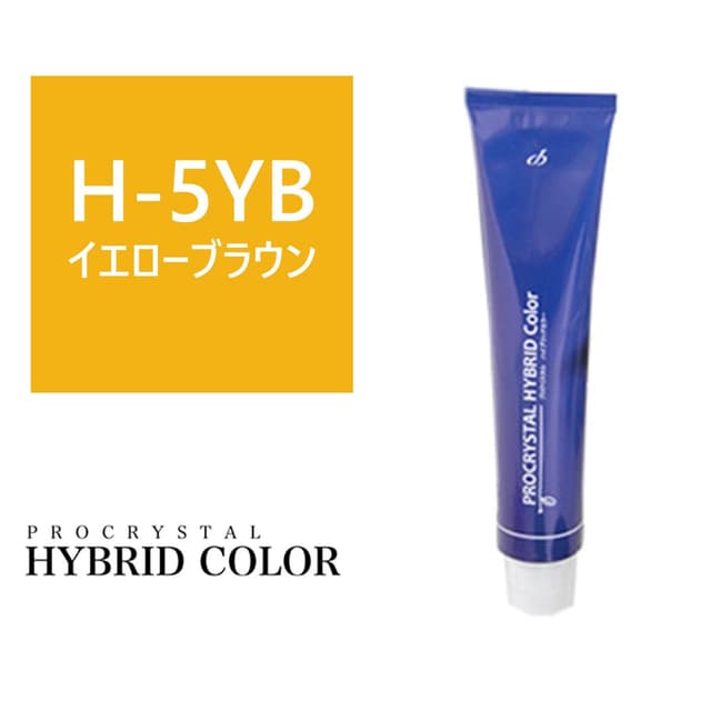 ハイブリットカラー H-5YB(イエローブラウン) 100g【医薬部外品】 1