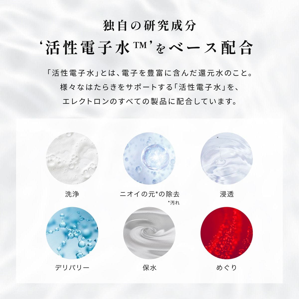 エレクトロン コスメティクス シンクロシャンプー オム FOR SCALP （男性用）  300ml 9