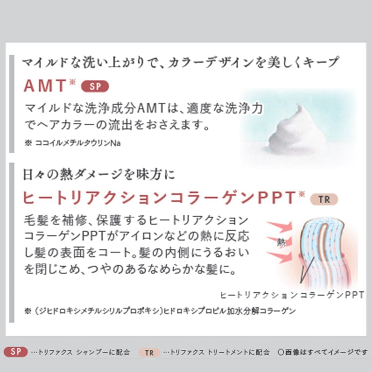トリファクス シャンプー 1000ml レフィル 4