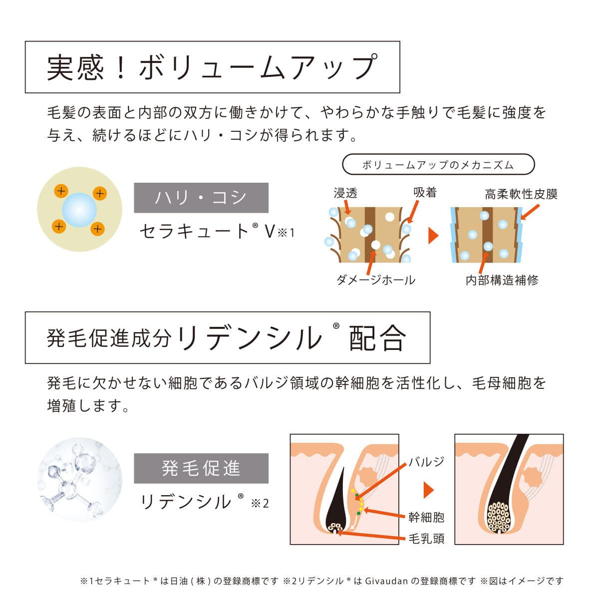 SAN&MONI スキャルプエッセンス 150ml【医薬部外品】 4