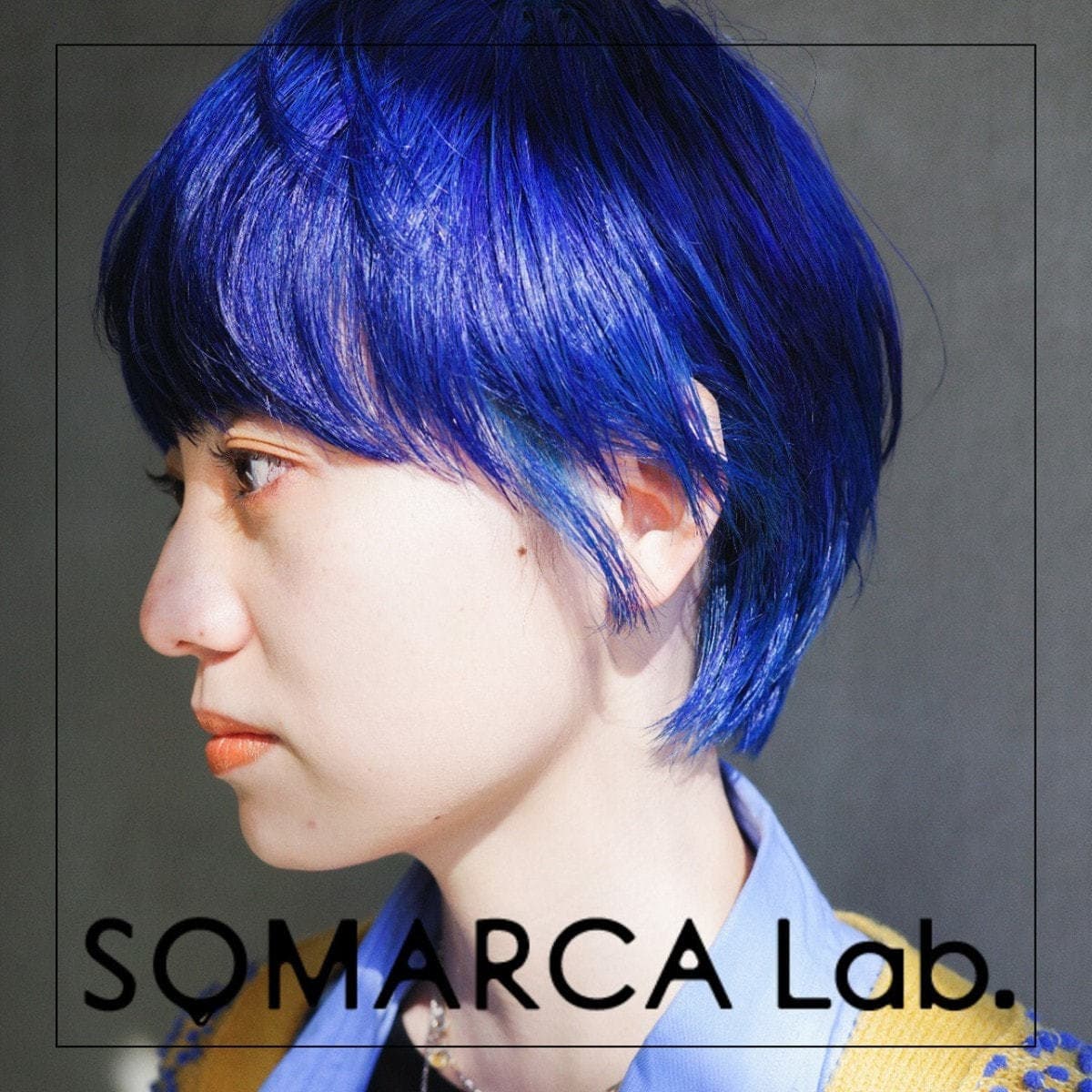 ソマルカラボ カラージェリー ロイヤルブルー 240g 5