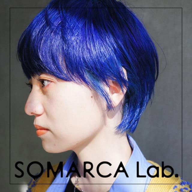ソマルカラボ カラージェリー ロイヤルブルー 240g 5