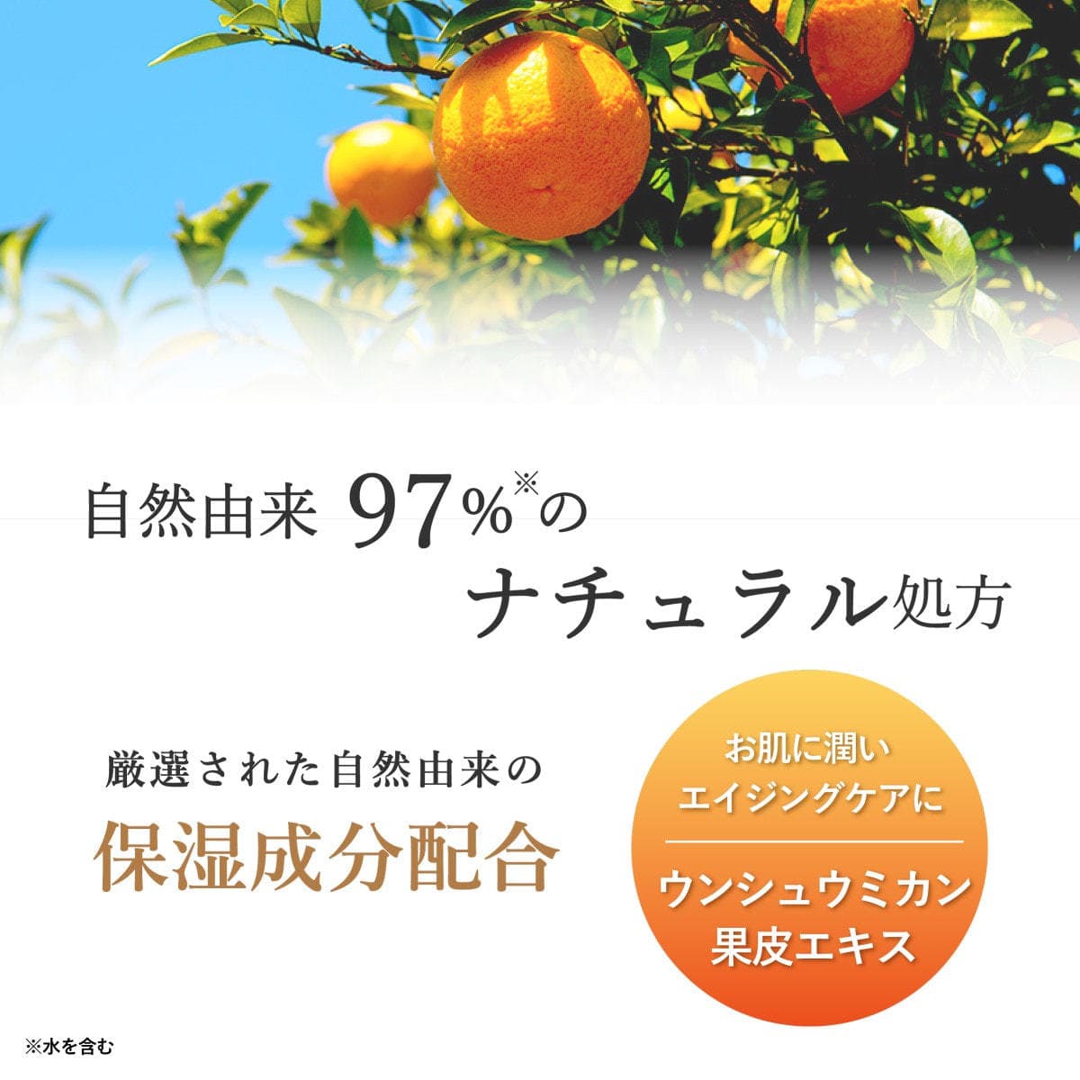 デイリーアロマジャパン 和歌山県産温州みかんハンドクリームA 75g 3