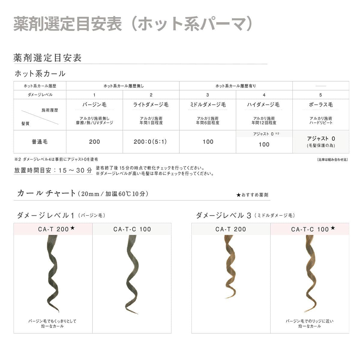 アリミノ クオライン CA-T-C100 400g 7