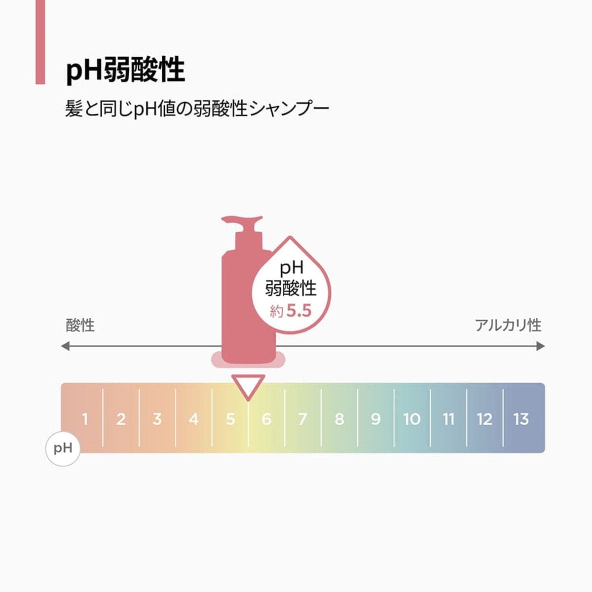 アモスプロフェッショナル トゥルーリペアシャンプー 500ml 5