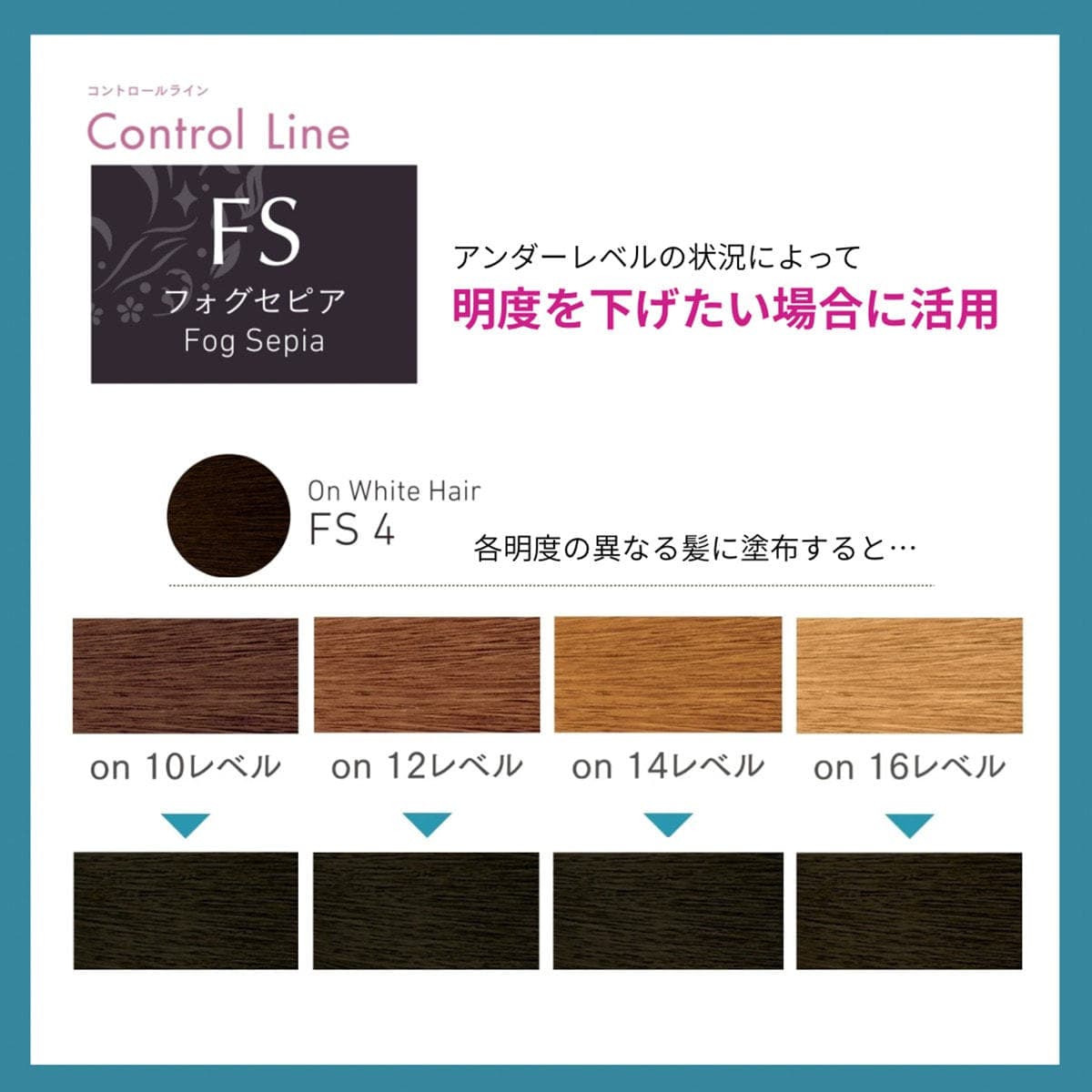 プロステップ ルミシャス FS 4(フォグセピア) 80g【医薬部外品】 2