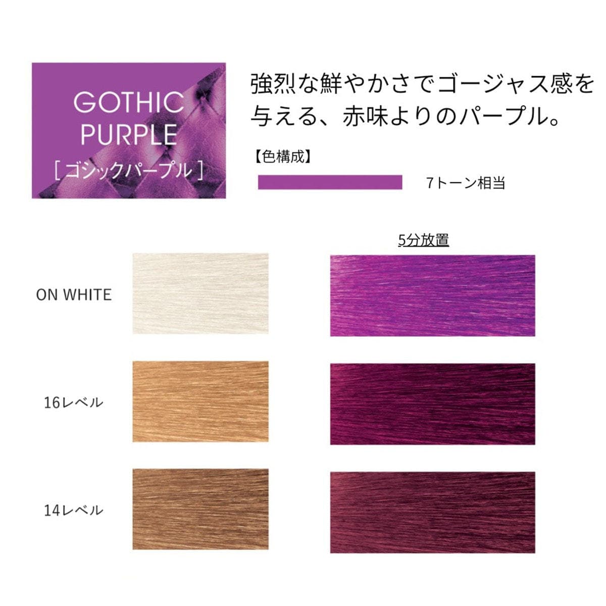 イロジカケ G PU(ゴシックパープル)(ファッションカラー) 80g【医薬部外品】 2