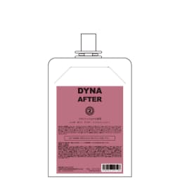 DYNA【ダイナ】AFTER 2剤 400g 化粧品 (ブロム酸) 1
