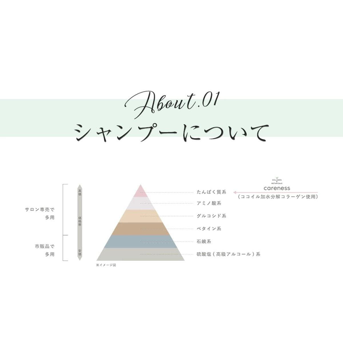 ケアネス シャンプー(FF)フルーティーフローラル 1000ml (レフィル) 9