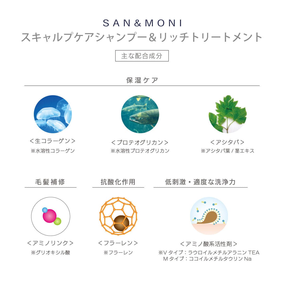 SAN&MONI スキャルプケアシャンプーM 240ml 6
