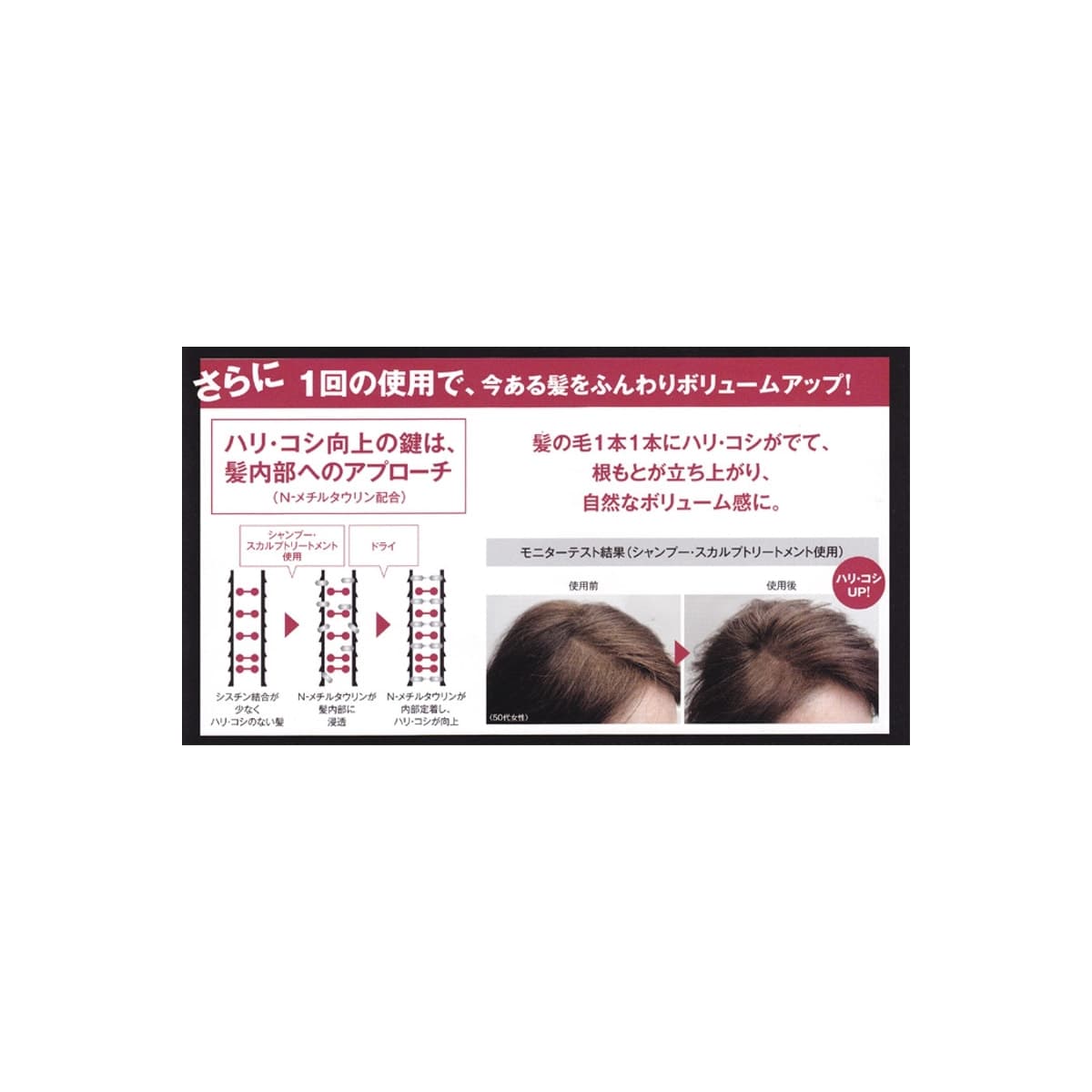 アデノバイタル シャンプーA 1000ml 3