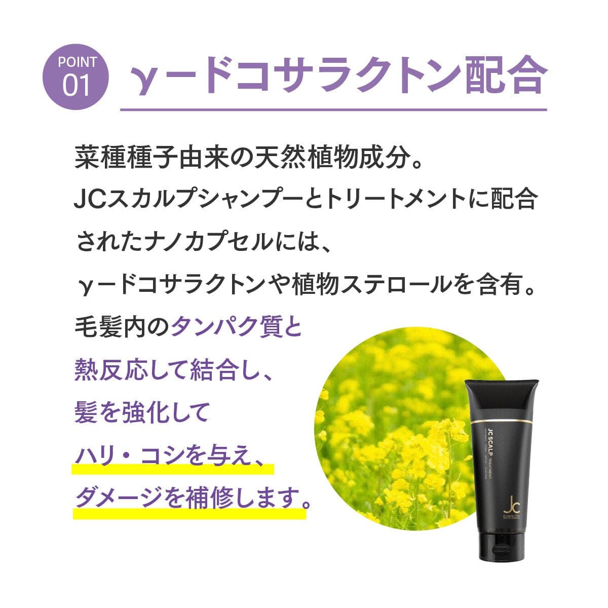 JC SCALPトリートメント業務用 500mL×2 5