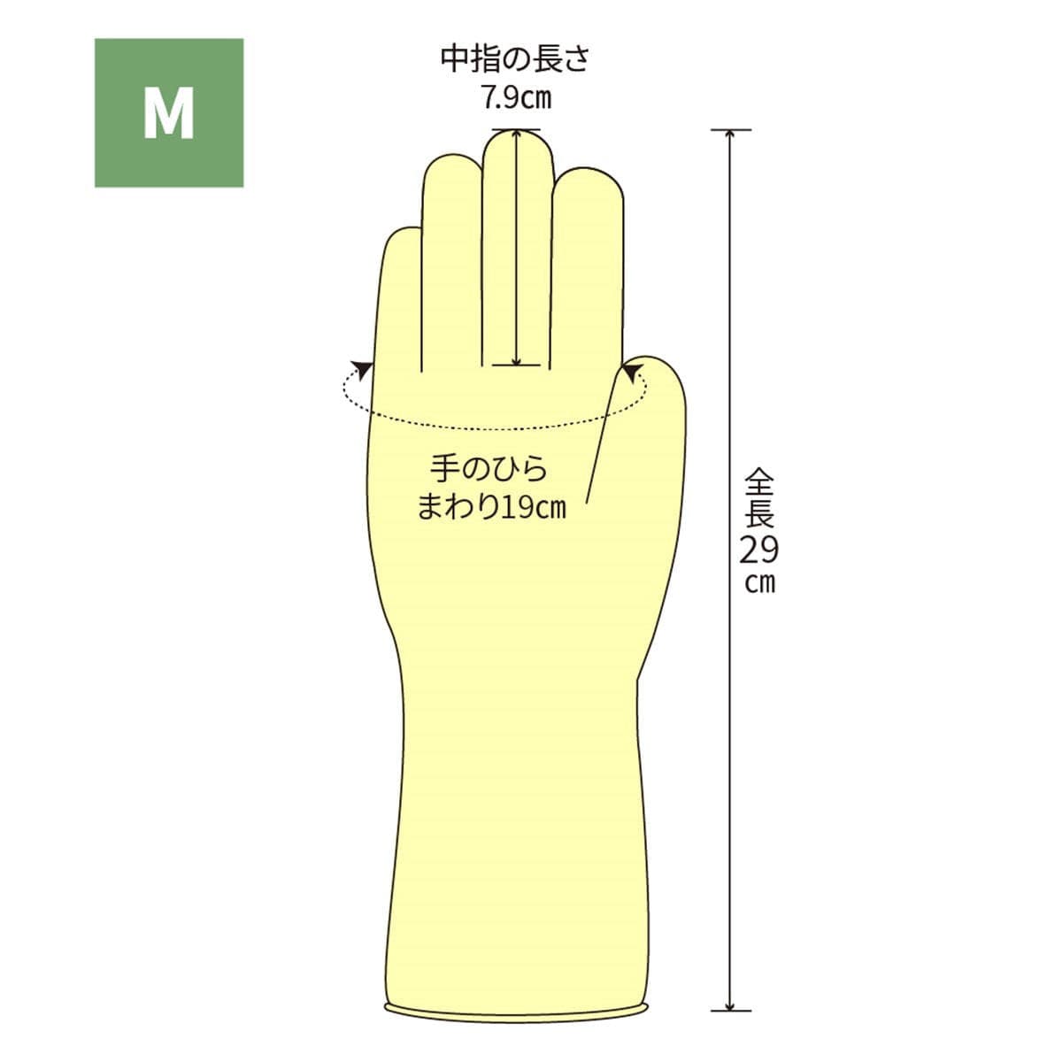 オカモト ナチュラルグローブ M(50枚) 2