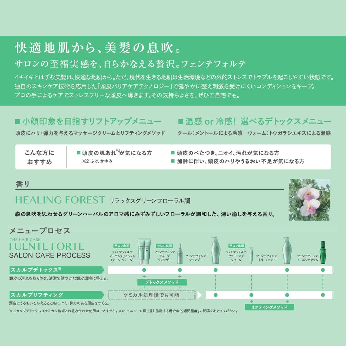 フェンテフォルテ トリートメントA 1800g(レフィル) 2