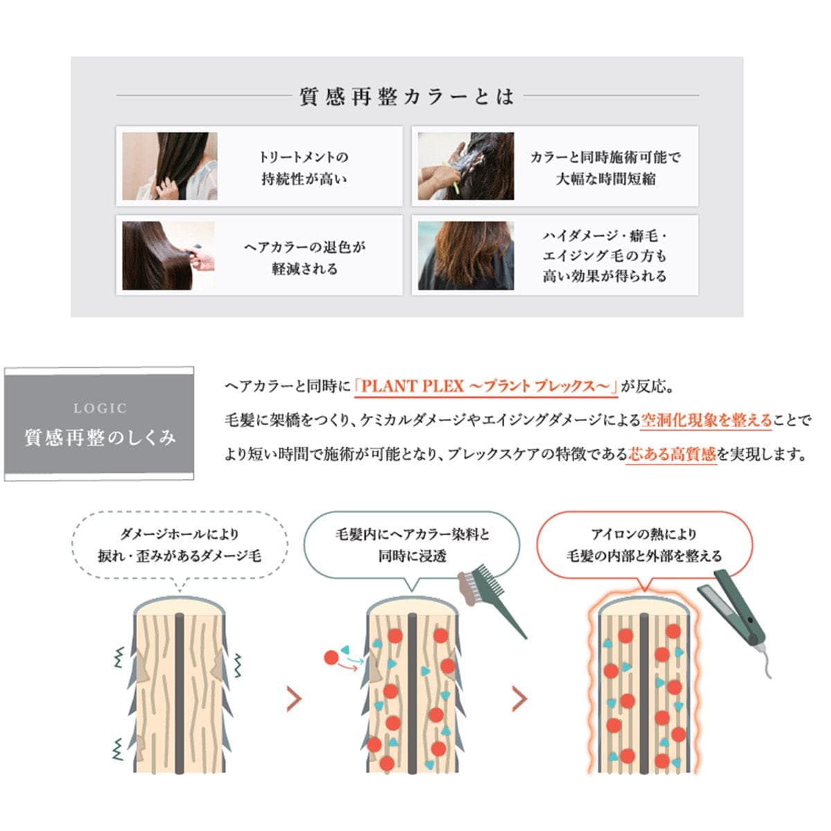 エアンス プラントプレックスミルク 500g 2