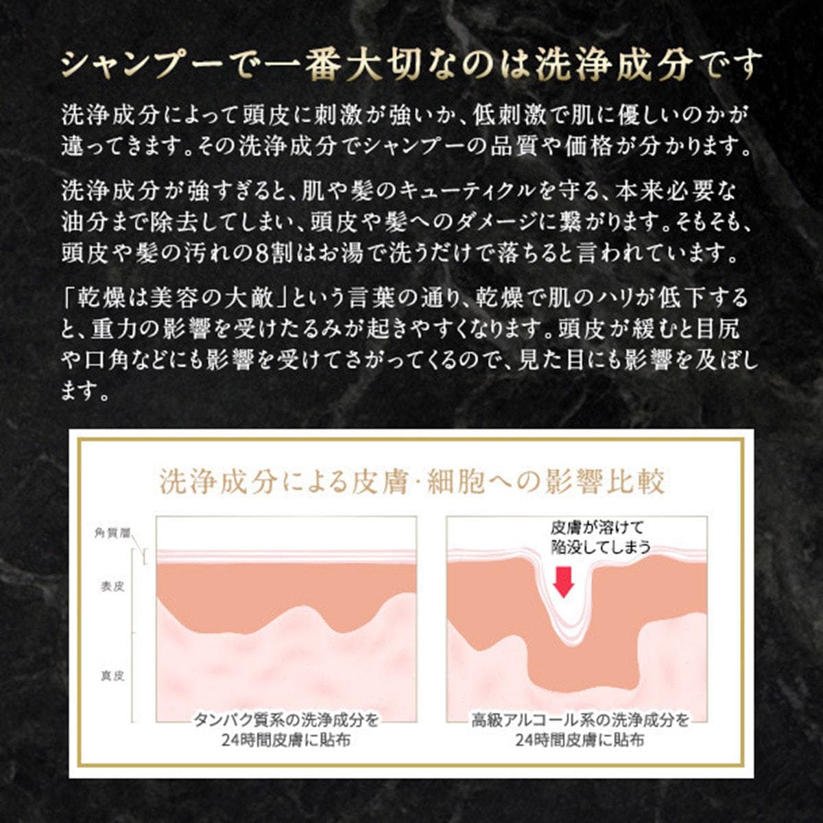 【専用容器推奨】テラケア シャンプー 1000ml(レフィル) 3
