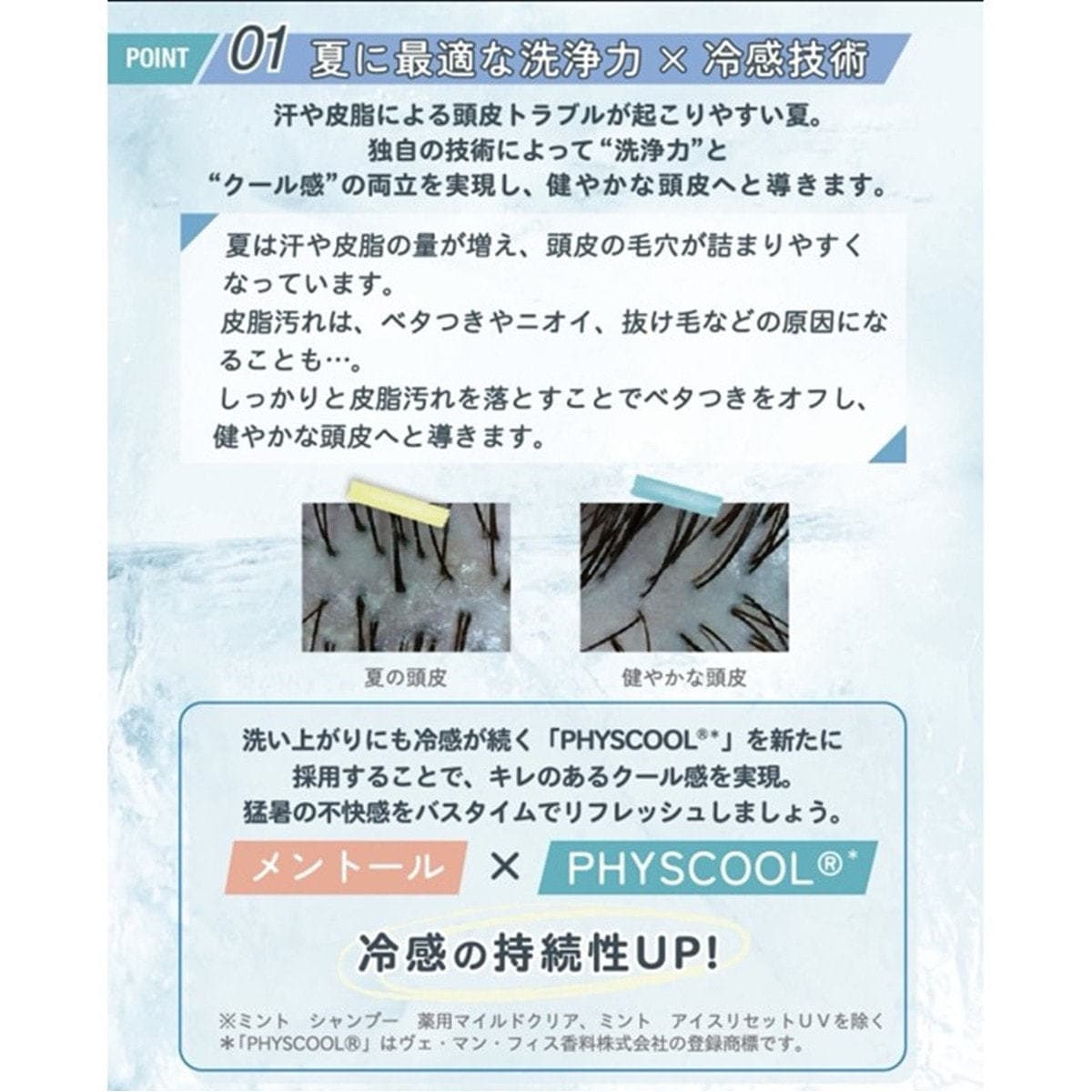 ミント シャンプー フローズンインパクト 275ml 2