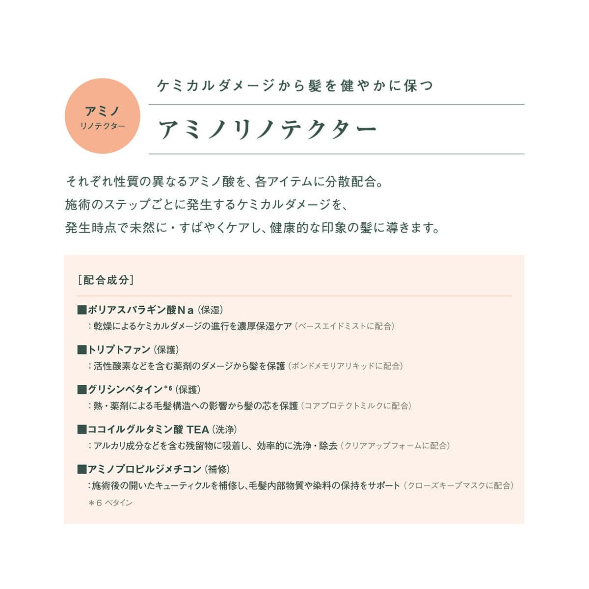 シェルパ クローズキープマスク 1000g 5