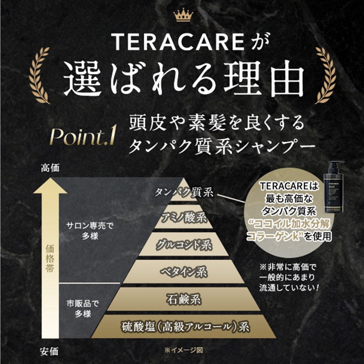 【専用容器推奨】テラケア シャンプー 1000ml(レフィル) 2