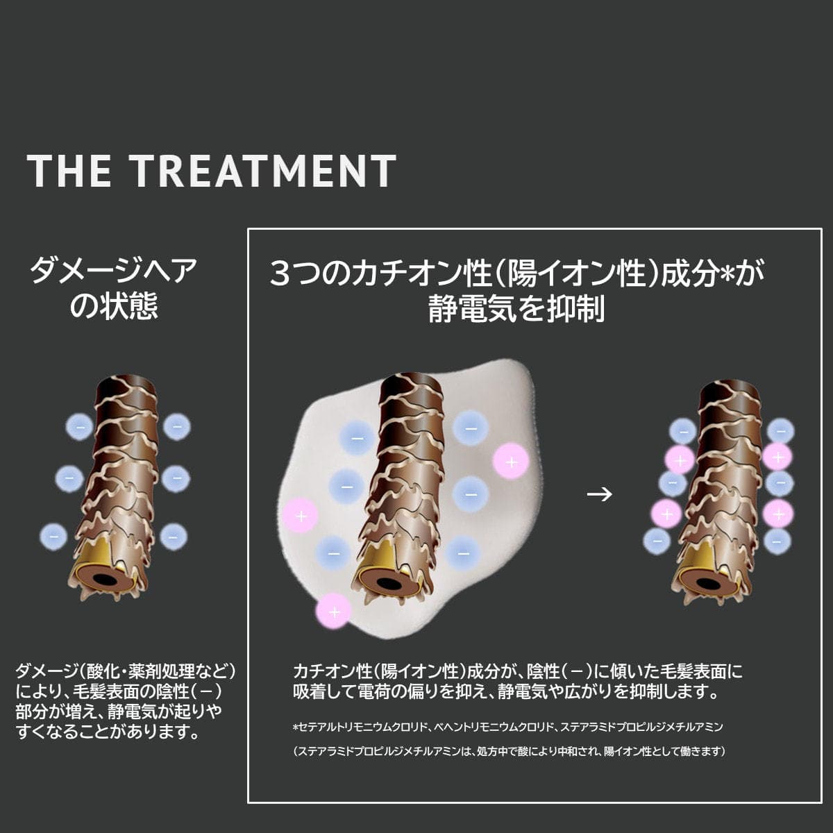 HAIR STANDARD ザ・トリートメント750g 5