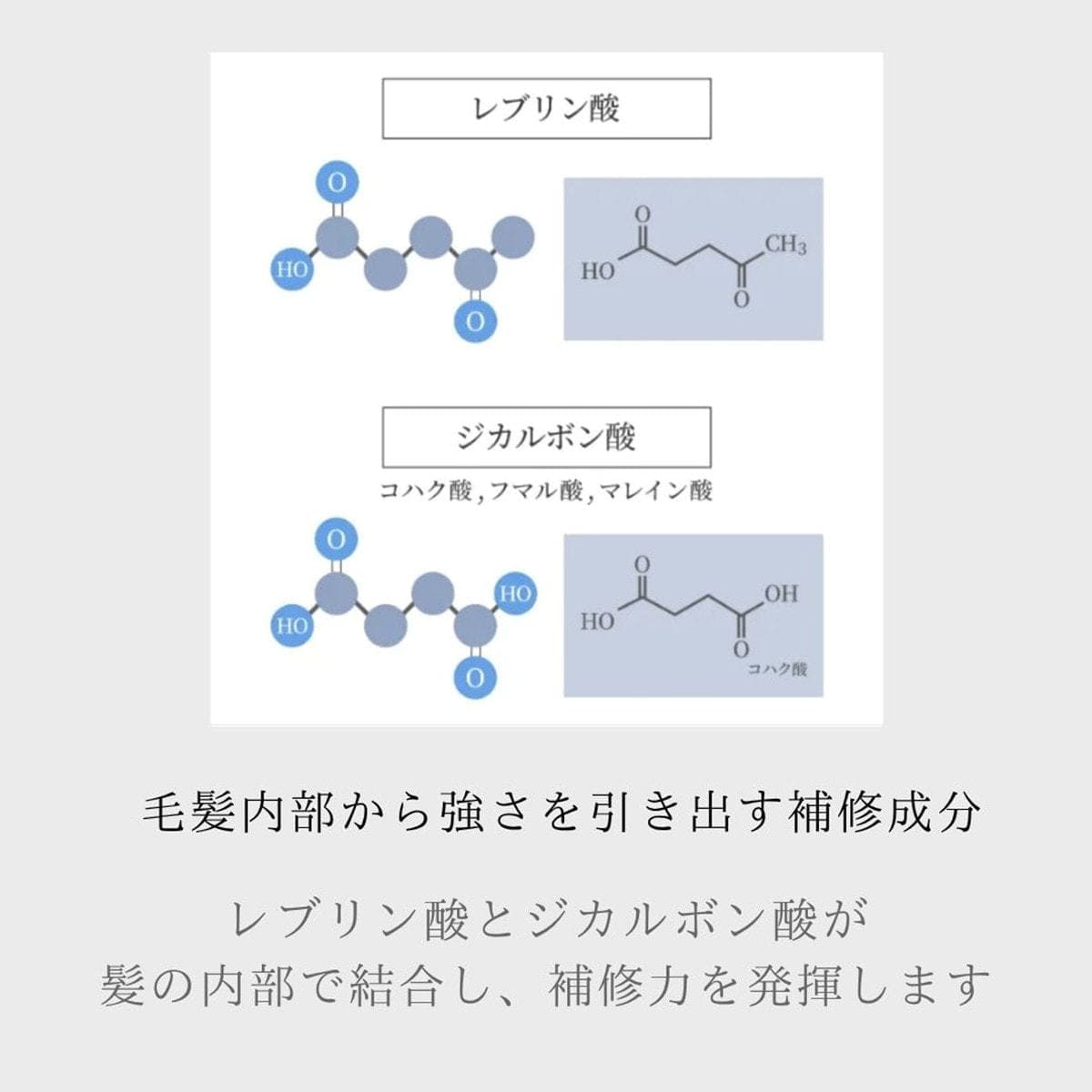 protego プロテゴ800ml≪プレックス剤≫ 6
