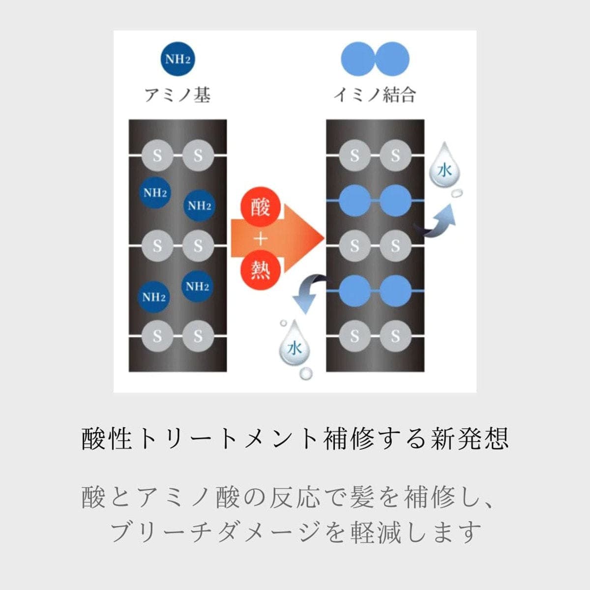 protego プロテゴ800ml≪プレックス剤≫ 4